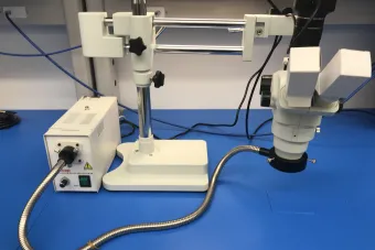 Microscope